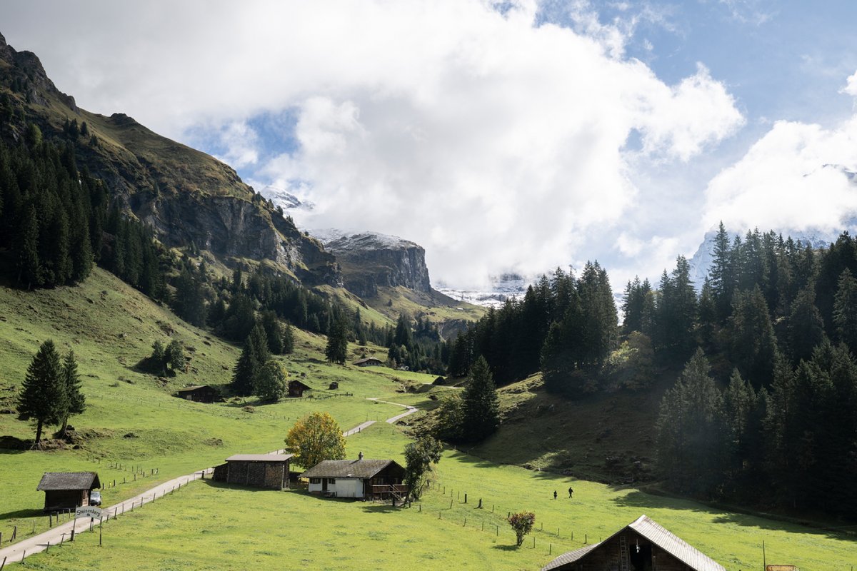 Berghaus Steinenberg 